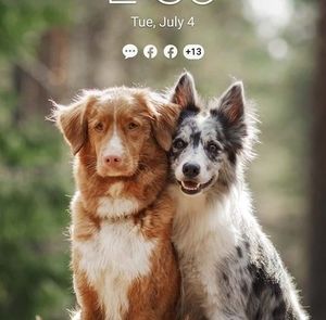 Meet your Posher, Wayne